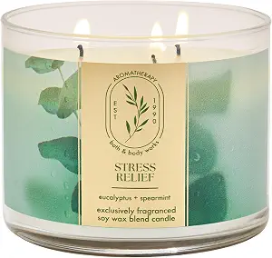 Bath & Body Works 3-Wick Candle, Eucalyptus Spearmint, Soy Wax Blend